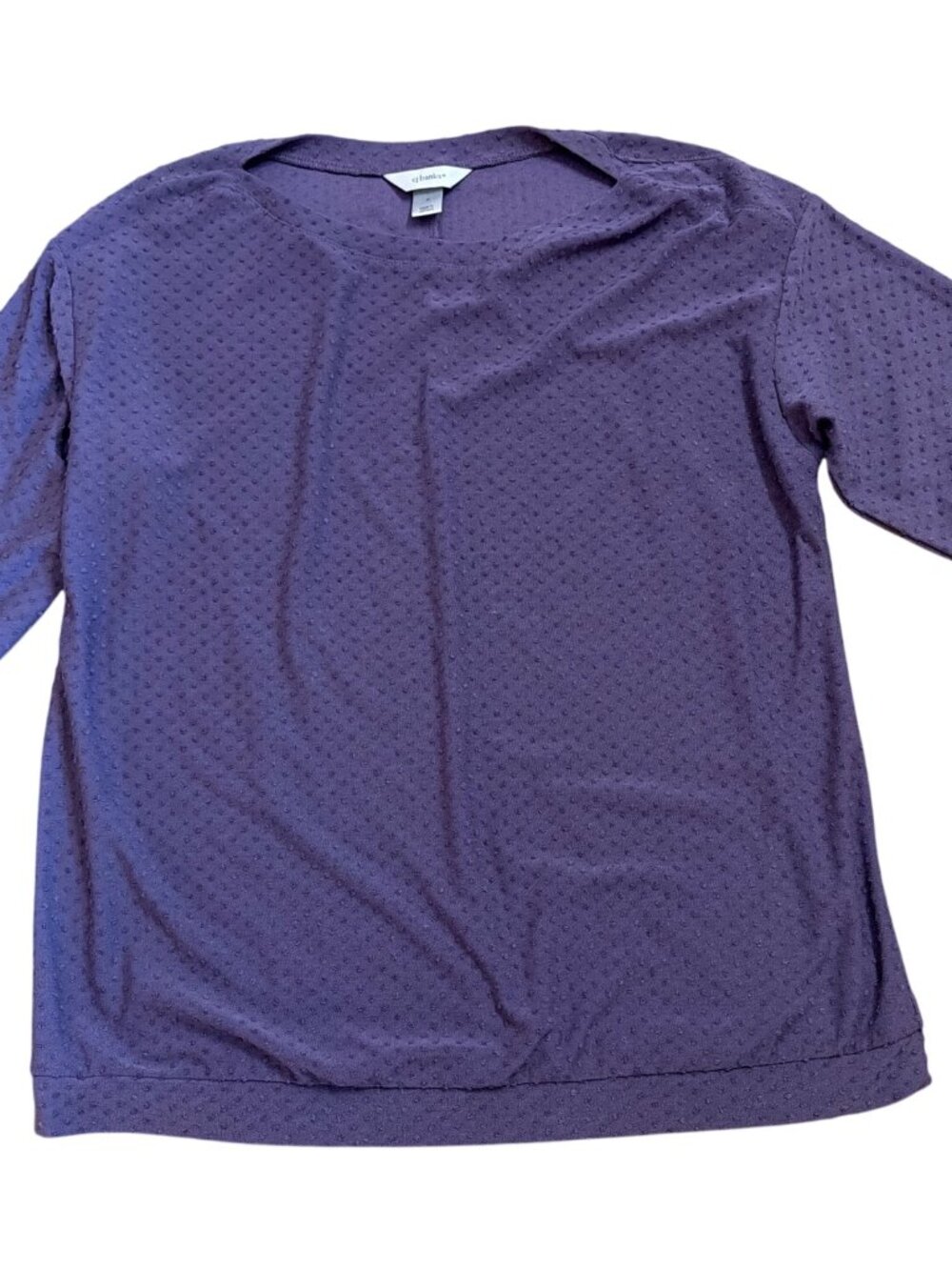CJ Banks Purple Textured 3/4 Sleeve Top Blouse X (XL) Womens Swiss Dot Career